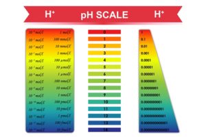 The Difference between Acidity and Alkalinity In The Body - Nardi ...